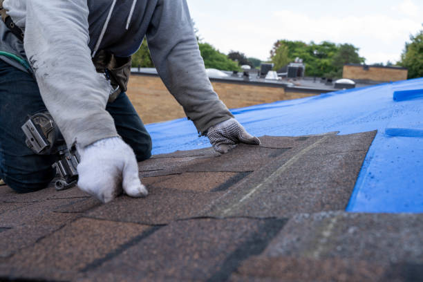 Best Metal Roofing Contractor  in Santa Clara, NM
